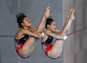 爱游戏在线登录-包含卡达跳水双人组冠军，中国体育报道的词条