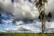 爱游戏-包含冠军预感：女子足球队竞逐生死战的词条