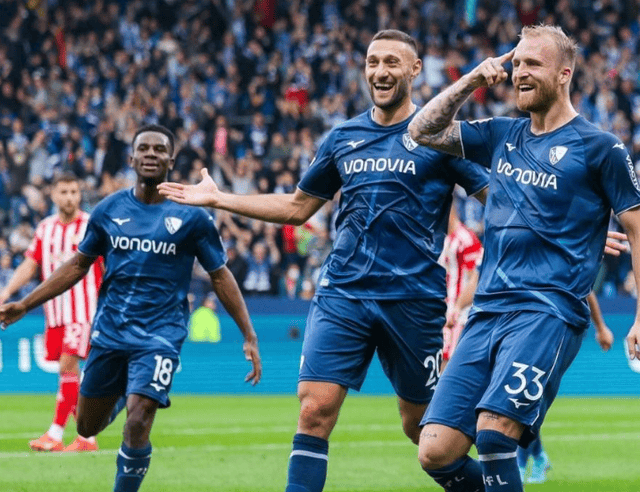 霍芬海姆在德国足球联赛中挑战对手